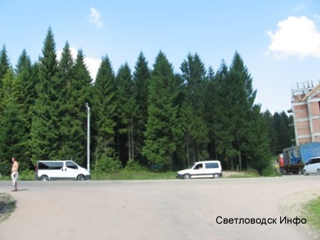Такі вони, Карпати