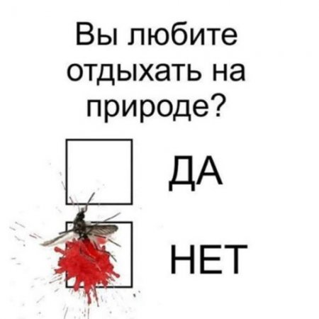 С 1 ноября в Украине запретили ловить рыбу