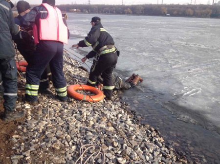 З початку року на водоймах України загинуло 46 людей