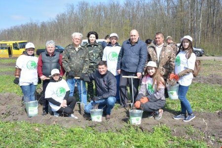 На Кировогдащине высаживают лес