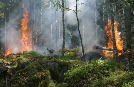 ГСЧС предупреждает о повышенной пожарной опасности в Украине