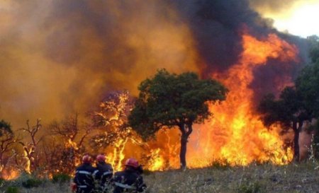 Франция борется с масштабными лесными пожарами