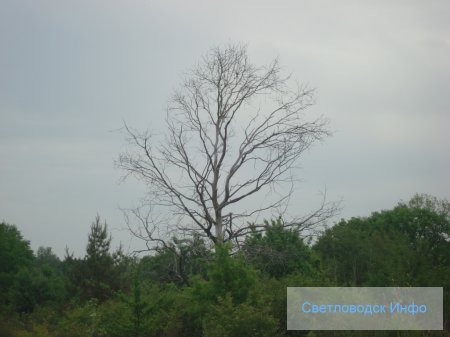 Весенняя прогулка