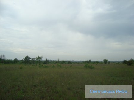 Весенняя прогулка