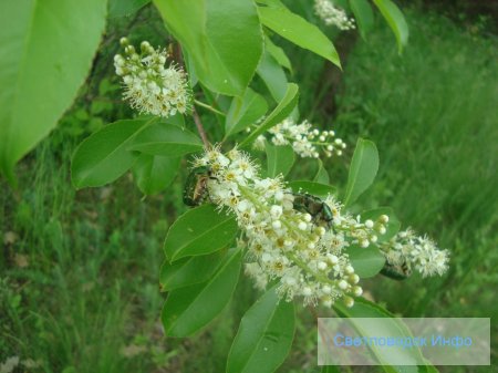 Весенняя прогулка