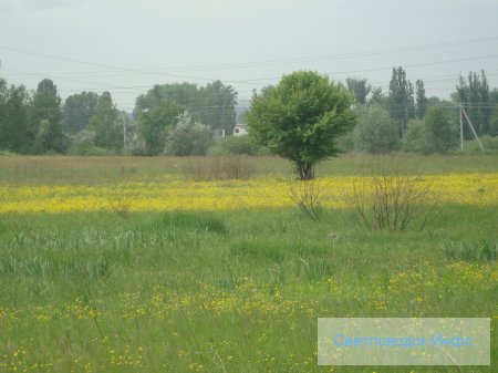 Весенняя прогулка