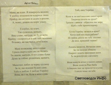 Вірш хлопця зі Світловодського району прикрасив стіну в Київській міськраді