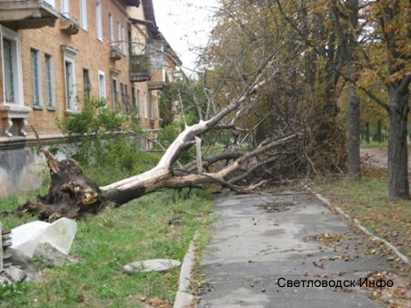 Містом пройшов буревій