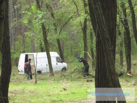 Містом пройшов буревій