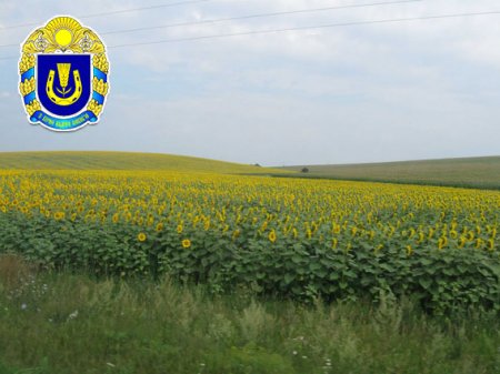 Село Іванівка (Янів) запрошує сім’ї з дітьми до проживання