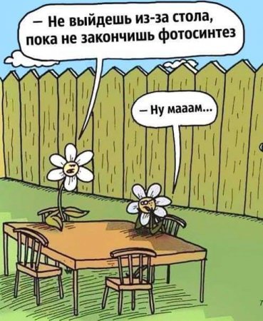 8 несъедобных вещей, которые мешают худеть