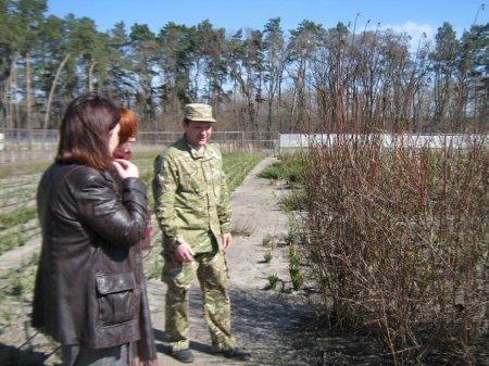 З початку цього року 50 олександрівців отримали роботу на ДП «Олександрівське лісове господарства»